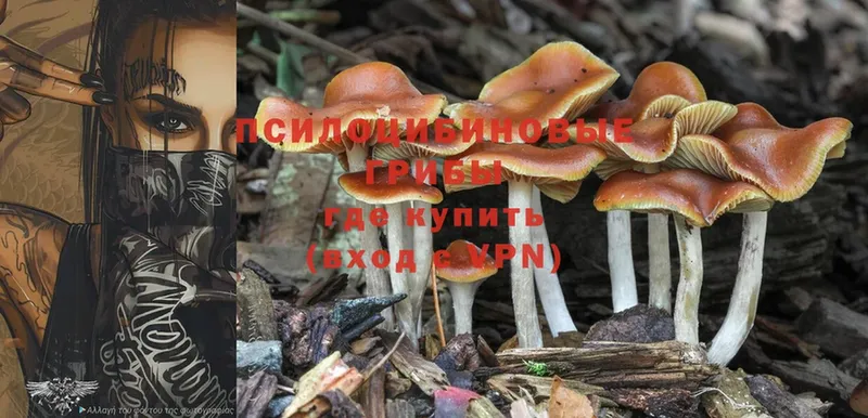 Псилоцибиновые грибы MAGIC MUSHROOMS  Бикин 